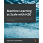 Machine Learning at Scale with H2O: A practical guide to building and deploying machine learning models on enterprise systems - Paperback