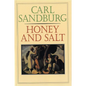 Honey and Salt - Paperback