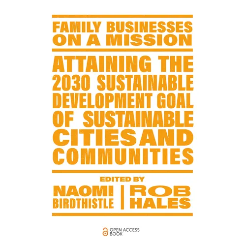 Attaining the 2030 Sustainable Development Goal of Sustainable Cities and Communities - Paperback