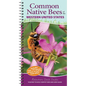 Common Native Bees of the Western United States: Your Way to Easily Identify Bees and Look-Alikes - Spiral