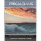 Precalculus - Paperback