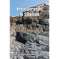 From Surgeon to Shaman: Living a Directed Life - Paperback