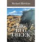 Big Bug Creek: Stories of Growing Arizona - Paperback
