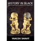 History in Black: African-Americans in Search of an Ancient Past - Paperback
