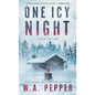 One Icy Night - Hardcover