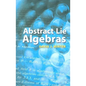 Abstract Lie Algebras - Paperback