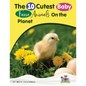 Baby Farm Animals Booklet With Activities for Kids ages 4-8 - Paperback