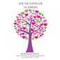 The Meaning of Numbers - Paperback