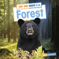 Day and Night in the Forest - Hardcover