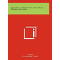 Celestial Mechanics and Space Flight Analysis - Hardcover