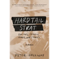 Hardtail Strat: Guitars, Heroin, Songs and Stories - Paperback