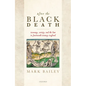 After the Black Death: Economy, Society, and the Law in Fourteenth-Century England - Hardcover