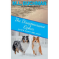 The Disappearance Cipher: a coming of age romantic suspense - Paperback
