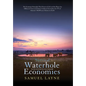 Waterhole Economies: The Only Economies That Never Collapsed - Hardcover