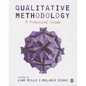 Qualitative Methodology: A Practical Guide - Paperback