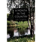 A Month In the Country: A Comedy in Five Acts - Paperback