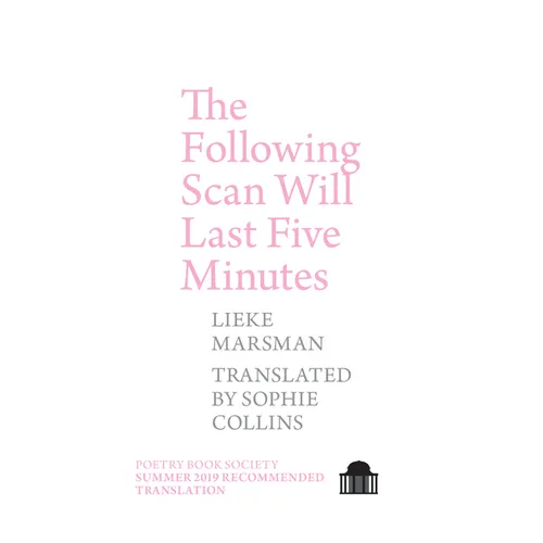 The Following Scan Will Last Five Minutes - Paperback