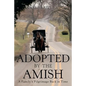 Adopted by the Amish: A Family's Pilgrimage Back in Time - Paperback