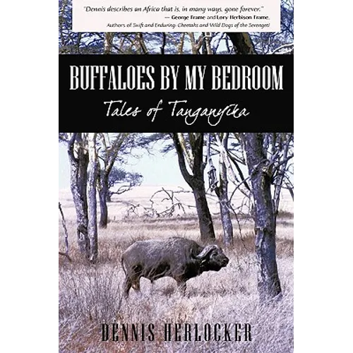 Buffaloes by My Bedroom - Hardcover