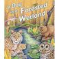 A Day in a Forested Wetland - Paperback