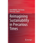 Reimagining Sustainability in Precarious Times - Hardcover
