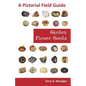 Garden Flower Seeds: A Pictorial Field Guide - Paperback