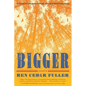 Bigger: Essays - Paperback
