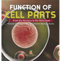 Function of Cell Parts: From the Nucleus to the Reticulum Cellular Biology Grade 5 Children's Biology Books - Hardcover