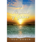 A Modicum of Solace: One Woman's Political Despair - Paperback