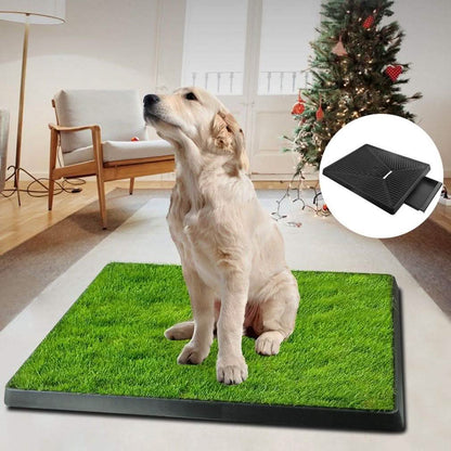 Pet Loo Portable Indoor/Outdoor Pet Potty