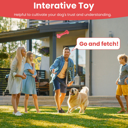 GBruno Dog Chew Toy
