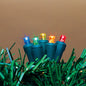 60 Indoor/Outdoor LED String Light - Multi Color - Green Wire