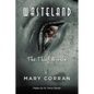 Wasteland: The Thief Within - Paperback