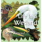 Life In A Wetland - Hardcover