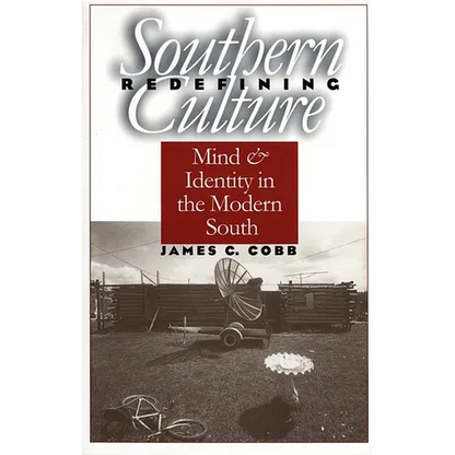 Redefining Southern Culture: Mind and Identity in the Modern South - Paperback