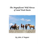 The Magnificent Wild Mustangs Of Sand Wash Basin - Paperback