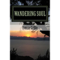 Wandering Soul: full of love, pain, and fun - Paperback