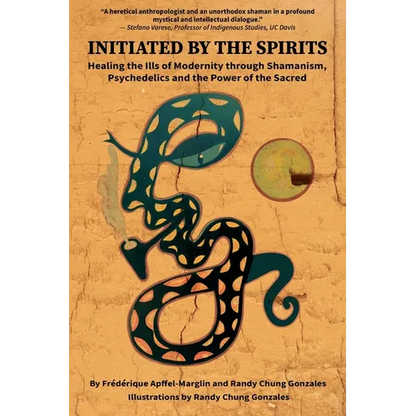 Initiated by the Spirits: Healing the Ills of Modernity through Shamanism, Psychedelics and the Power of the Sacred - Paperback
