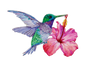 Hummingbird Screen Door Savers -