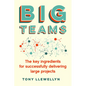 Big Teams: The Key Ingredients for Successfully Delivering Large Projects - Paperback