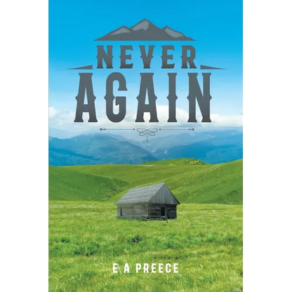 Never Again - Paperback