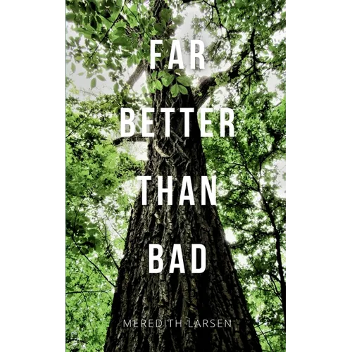 Far Better Than Bad - Paperback