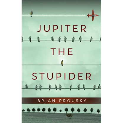 Jupiter the Stupider - Paperback