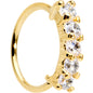 20G 5/16 Clear CZ Gold IP Quintet Seamless Circular Nose Ring
