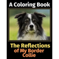 The Reflections of My Border Collie: A Coloring Book - Paperback
