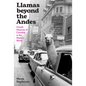 Llamas Beyond the Andes: Untold Histories of Camelids in the Modern World - Hardcover