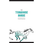 The Turquoise Horse - Paperback