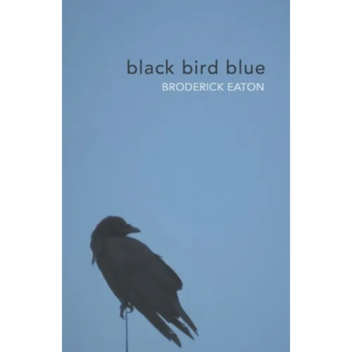 black bird blue - Paperback
