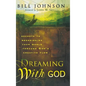Dreaming with God: Secrets to Redesigning Your World Through God's Creative Flow - Hardcover