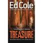 Treasure: Uncovering Principles That Govern Success - Paperback